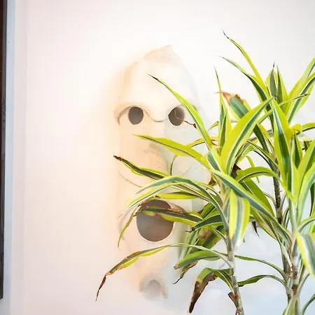 Aurea Prime Design *